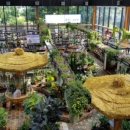 카페달콩 이미지