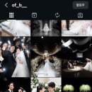 오브비(of.B) 본식 스냅 내돈내산 계약 후기