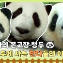 청린농장 이미지