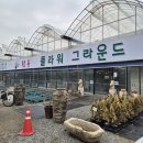 선유 | 인천 화훼단지 나들이! 구월동 문학 선유플라워 방문 후기