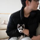 이브보아