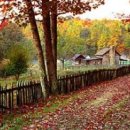 햇빛 찬란한 그 길 이미지