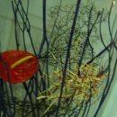 유당마을 이미지