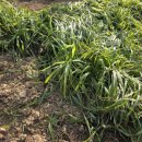 승모농장 이미지