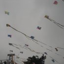 항가울 Daum카페
