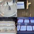 싸이바이오테크 이미지