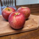 문경애한빛채 이미지