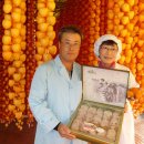 화남농원 이미지