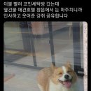 호텔세탁소 이미지