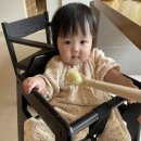 고유시차 이미지