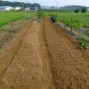 광성농장 이미지