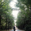 썸타임즈(sometimes) | 제주 가을 웨딩스냅 촬영 후기