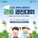 경진초등 이미지