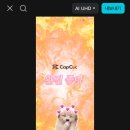 내가 만드는 숏폼(릴스) 영상 이미지