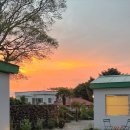 선흘정류장 이미지