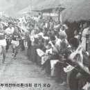 ‘호랑이 담배피던 시절’ 한국 마라톤의 에피소드 이미지