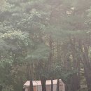 수리덤캠핑장 | 대구 근교 청도 수리덤 캠핑장 P4 사이트 추천 가을캠핑 후기