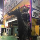 우리타이어 이미지