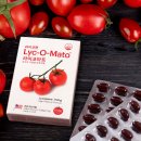 비케이 인터내셔날 이미지