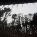 고원설렁탕 이미지