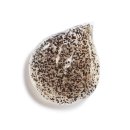 샤넬코리아 유한회사 이미지