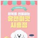유앤미 | 🐱 화서랙돌분양 후기｜유앤미펫에서 만난 천사 같은 랙돌과의 만남💛