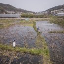 곡은농장 이미지