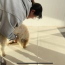 달콤체육관 이미지