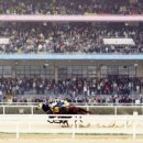 복권목장 이미지