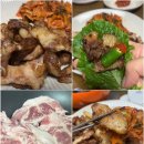 히포키친 | 손정형이라 식감이 다른, 히포펀치 꼬들살 후기