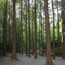 꽃님이네 이미지