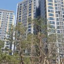 태영자이공인중개사사무소 이미지