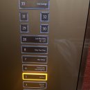 6390 | 부산 호텔 뷔페 끝판왕｜연말 모임으로 다녀온 롯데호텔부산 라세느 석식 후기