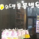 위드펫 이미지