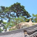 자장암 마애아미타여래삼존상 이미지