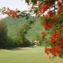 에버그린골프클럽 이미지