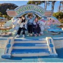 정수태권도장 이미지