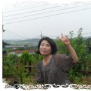 장성여자고등학교 이미지