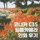 [카메라 리뷰] 코니카 C35 플래쉬메틱 필름카메라 인화(스캔) 후기 (feat.갤러리사진관)