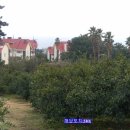 대포동주민센터 이미지