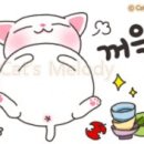 노닥노닥 이미지