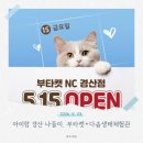 생태 | 경산 아이랑 가볼만한 곳, 부타캣 + 다솜생태체험관 주말방문 후기