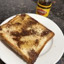 영광테크놀로지 | 시드니 여행 후기 ദ്ദി⁼ˆ╹⥿╹ˆ⁼)Part 3.