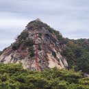 아미산농장