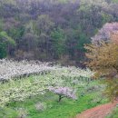 수청리농장 이미지