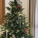 힐링건강댄스 | 12월 일상기록(2) | 카페 물, 댄스댄스댄스, 지구제과, 높은산, 빼꼼식당, 퍼머넌트해비탯