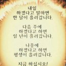 홍천중앙시장 이미지