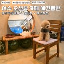 작금(남) 이미지