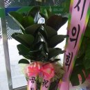 신한동물약품 이미지