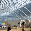 신월리달뜨는마을 이미지